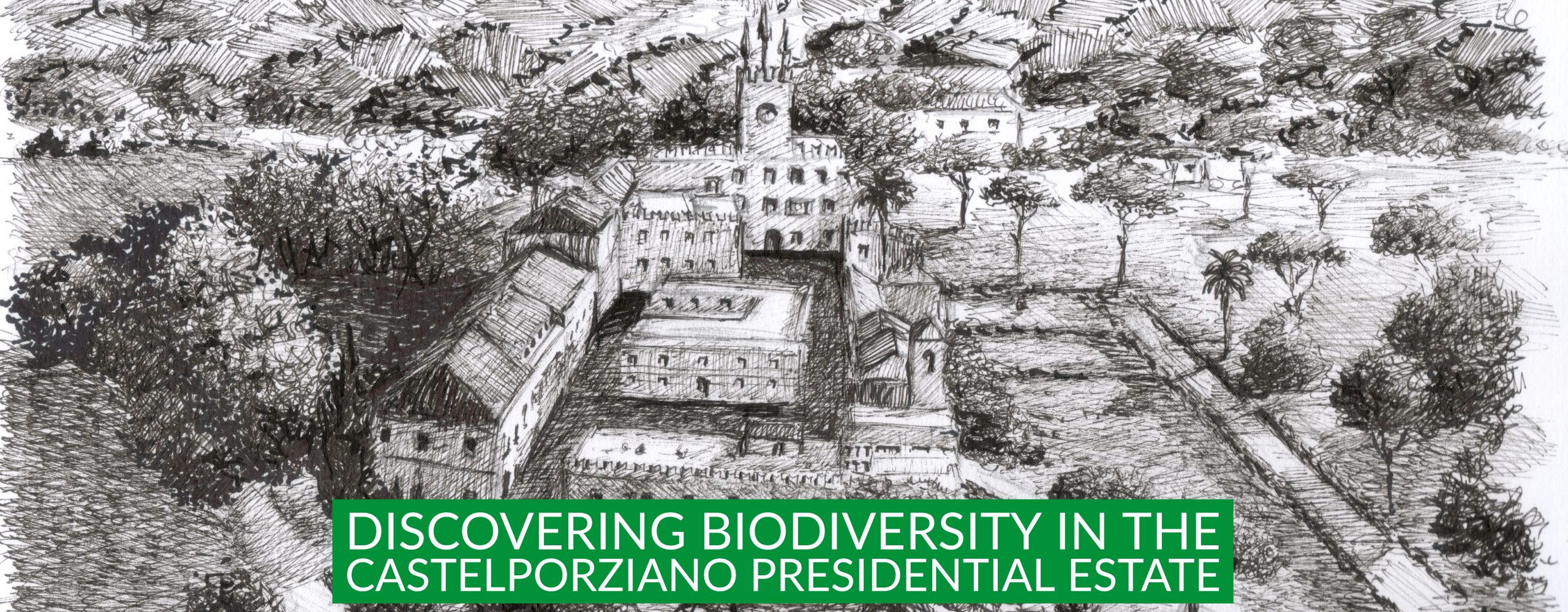 Discovering Biodiversity in Castelporziano Presidential