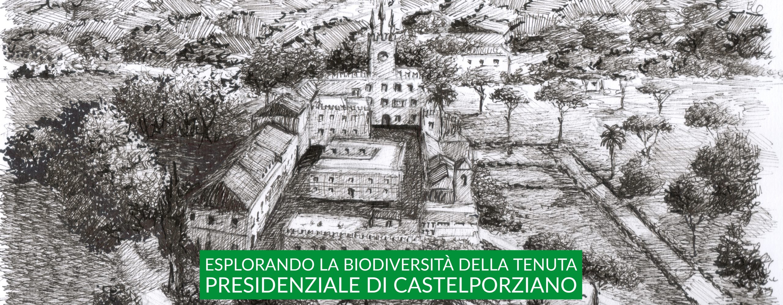 Esplorando la biodiversità di Castelporziano